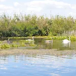 Dor De Delta * Sulina
