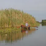 Dor De Delta