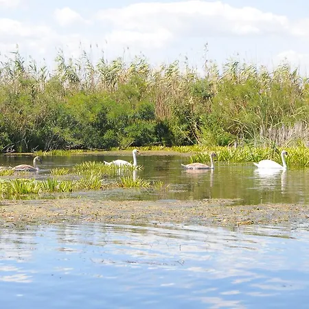 Dor De Delta * Sulina